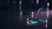 Laboratory petri dish with green bacterial cultures under scientific microscope lighting for medical research and microbiology studies.
