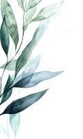 Delicate watercolor eucalyptus leaves in teal and sage green tones on white background, perfect for botanical wall art and stationery design.