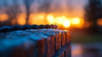 Dramatic close-up of melting icicles at sunset with golden bokeh background creates atmospheric winter scene. Water droplets catch warm evening light against blue frozen surface.