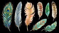 Feather collection featuring peacock, ornamental, and decorative plumes isolated on transparent background. Ready for t-shirt design, clipart, stickers, sublimation, and print-on-demand projects.