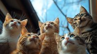 Five curious cats looking up together with attentive expressions against blue sky background, capturing playful feline behavior and companionship in natural lighting.