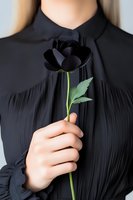 Woman in black elegant dress holding single black rose against dark background. Mysterious and dramatic fashion composition for luxury and gothic aesthetics.