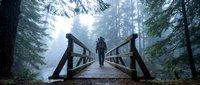 Young adult male with dark hair standing on wooden bridge in misty forest surrounded by tall evergreen trees, suitable for travel, adventure, and nature-themed designs.