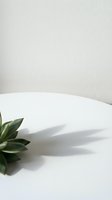 Minimalist composition featuring green plant leaves casting dramatic shadow on white surface against neutral beige textured wall, ideal for wellness and modern design projects.