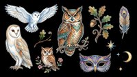 Owl clipart set isolated on transparent background, featuring snowy, barn, great horned owls, feathers, acorn, mask, and stars for stickers, t-shirt design, print on demand.