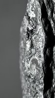 Close-up macro view of rough tree bark texture with deep cracks and natural patterns in monochrome black and white photography for nature backgrounds.