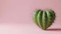 Heart-shaped cactus with spines on soft pink background for Valentine's Day love concept, romantic desert plant decoration for greeting cards.