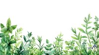 Fresh green watercolor foliage border with herbs and leaves on white background, botanical design elements for nature-inspired projects.