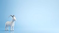 White goat with curved horns standing in profile against soft blue background, suitable for agricultural, farming, and livestock design projects.