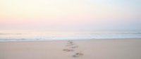 Serene beach scene with footprints in sand leading toward calm ocean waves during golden hour sunrise or sunset with soft pastel sky colors.