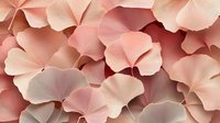 Delicate coral pink ginkgo leaves creating an elegant natural pattern. Soft pastel tones and overlapping shapes form gentle waves of botanical elements.