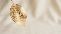 Golden autumn leaf with intricate vein patterns on soft beige background. Natural botanical element for seasonal designs and organic decorative projects.