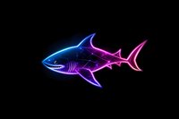Glowing neon shark silhouette in vibrant blue and pink gradient colors against black background, modern art style design for creative projects.