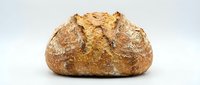 Freshly baked artisan sourdough bread loaf with golden crust and rustic texture isolated on white background for bakery and food design projects.