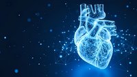 Digital heart anatomy model with glowing blue wireframe structure on dark background with particles for medical education and healthcare technology concepts.