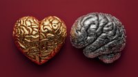 Heart-shaped golden brain and silver anatomical brain model on dark red background, symbolizing emotional and rational intelligence in medicine and psychology.