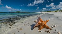 Orange starfish and seashell on white sandy tropical beach with turquoise ocean water, small islands and blue sky with white clouds in background. Perfect for travel themes.