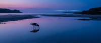Solitary bird silhouette reflected in calm tidal pools during twilight hour at scenic coastal beach with dramatic purple and pink sky colors.