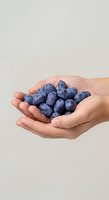 Handful of fresh blueberries held in cupped hands against neutral background, showcasing organic produce for healthy eating and nutrition concepts.