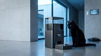 Black cat sitting next to modern automatic pet feeder in contemporary home interior with large windows and concrete floors.