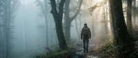 Lone hiker walking through misty forest path with dramatic sunbeams filtering through trees creating atmospheric woodland scene for outdoor adventure concepts.