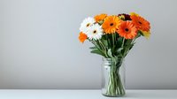 Fresh orange gerbera daisies and white chrysanthemums arranged in clear glass vase against neutral wall, minimalist floral composition for home decor.