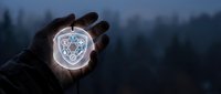 Hand holding glowing neon shield with circuit board pattern against dark forest background. Cybersecurity and data protection concept for technology and digital safety applications.