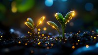 Young green sprouts growing from soil with magical glowing sparkles and bokeh lights in dark background, nature awakening concept for environmental projects.