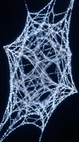 Intricate spider web covered in morning dew drops creating crystalline patterns against dark background for nature and macro photography projects.