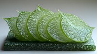 Fresh sliced aloe vera plant arranged in row on stone surface with water drops, showing transparent gel texture and natural healing properties.