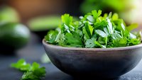 Fresh green cilantro leaves in rustic ceramic bowl on dark background, selective focus. Natural organic herbs for cooking and garnishing food.