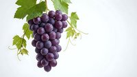 Fresh purple grapes cluster with green vine leaves isolated on white background for food design and healthy eating concepts.