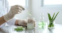 Scientist in white coat and gloves conducting natural cosmetic research with aloe vera extract in laboratory using pipette and glassware for skincare development.