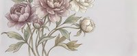 Vintage botanical illustration of blooming peonies with soft pink petals and green leaves on light background for wedding invitations and romantic designs.