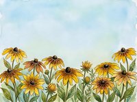 Watercolor yellow rudbeckia flowers blooming in garden border with soft blue sky background for spring summer botanical designs.