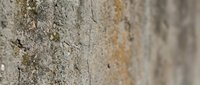 Weathered concrete wall surface with natural aging patterns and rough texture for industrial backgrounds and urban design projects.