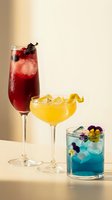 Colorful craft cocktails with fresh berries and citrus garnish on neutral background for bar menu and beverage marketing materials.
