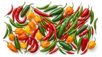 Colorful mix of fresh hot chili peppers in red, green and orange varieties scattered on white background. Spicy ingredients for cooking and seasoning.