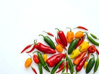 Colorful hot chili peppers in red, green, yellow and orange varieties arranged on white background. Fresh spicy ingredients for cooking and seasoning.