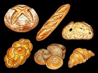 Assorted fresh baked bread loaves, rolls, and pastries isolated on transparent background. Ready for bakery designs, menus, t-shirts, clipart, stickers, and print-on-demand products.