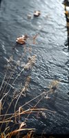 Dried wildflower stems in golden brown tones frame a serene water landscape with rippling surface and blurred background, capturing autumn nature and seasonal transitions.