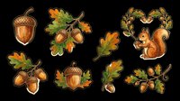 Autumn acorn and oak leaf clipart set isolated on transparent background. Ready for t-shirt design, stickers, sublimation, print-on-demand products and digital crafts.