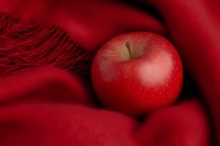 Fresh red apple nestled in soft crimson wool scarf with fringe details creating cozy autumn warmth and comfort for seasonal harvest themes.