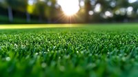 Fresh green grass lawn at sunset with sunburst and bokeh effect, low angle macro view showing detailed grass blades in soft focus background.