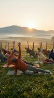 Group of diverse people practicing yoga outdoors in misty valley at sunrise, performing side plank pose on mats in open field with mountains and golden light.