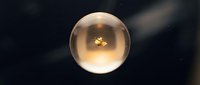 Translucent sphere with glowing golden light particles suspended inside, floating against dark background for abstract design and visual effects projects.