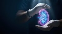 Human hands protecting glowing kidney organ with digital effects on dark background for medical healthcare and nephrology concepts.