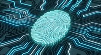 Digital fingerprint with glowing cyan circuit patterns radiating outward on dark background for cybersecurity and biometric authentication concepts.