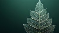 Elegant botanical line art featuring layered leaves with intricate vein patterns on dark green background for nature-inspired designs and organic branding.