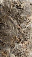 Natural weathered rope texture with frayed fibers and organic patterns for rustic design projects and nautical themed backgrounds.